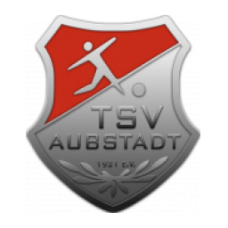 維爾茨堡踢球者