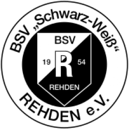 霍爾特豪森蜜蜂