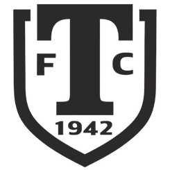 羅迪納莫斯科B隊