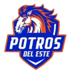 圣米格利托體育后備隊